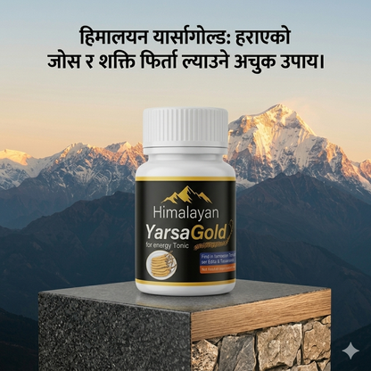 Himalayan Yarsha Gold 30 Capsules + 5 Capsules Free Total 35 Capsules
