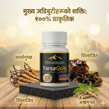 Himalayan Yarsha Gold 30 Capsules + 5 Capsules Free Total 35 Capsules